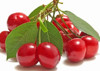 Uzbekistan’s Cherry Becomes the Favorite on the International Market