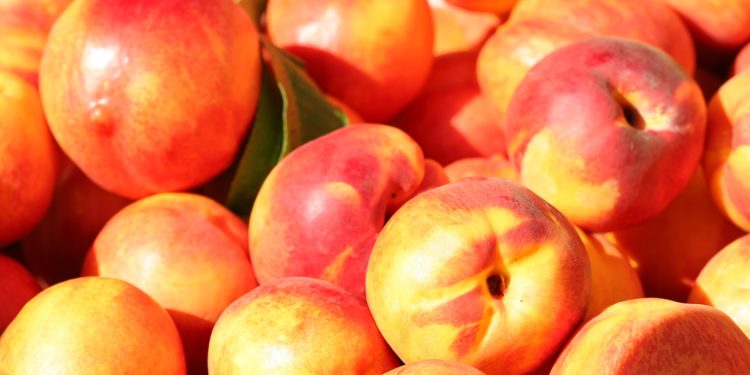 Battling the Mediterranean Fruit Fly: Russian Agricultural Quarantine Measures Intensify