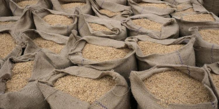 Navigating the Global Rice Market: Implications of India’s Possible Export Ban