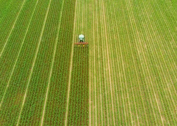 Accelerating Field Data Management: The Power of Digital Transformation in Agriculture