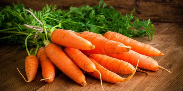UK Consumers Overlook “Cheap” Carrots Despite Bargain Hunting – Impact on 2022-23 Sales