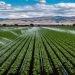Boosting Agriculture: 5 Successful Investment Projects Implementing Irrigation in North Kazakhstan
