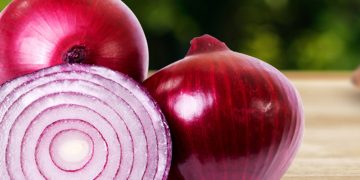 CebollaDeFuentesDeEbro: Optimizing Production Despite Decreased Cultivation Area