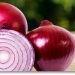 CebollaDeFuentesDeEbro: Optimizing Production Despite Decreased Cultivation Area
