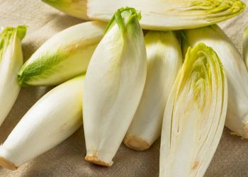 Growing Endive: A Versatile Leafy Green for Your Farm