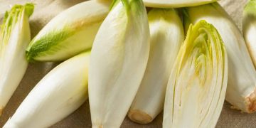 Growing Endive: A Versatile Leafy Green for Your Farm