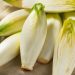 Growing Endive: A Versatile Leafy Green for Your Farm