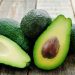 South Africa’s Avocado Industry Flourishes: A New Chapter in Agricultural Exports