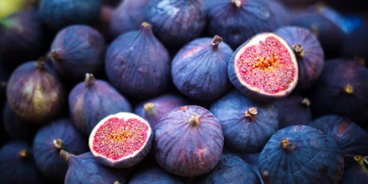 Turkish Fig Frenzy: Black Bursa Season and Alanar’s Growing Dominance