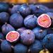 Turkish Fig Frenzy: Black Bursa Season and Alanar’s Growing Dominance