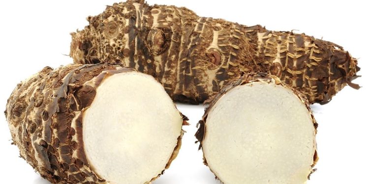 7 Exotic And Uncommon Vegetables Used In Indian Recipes