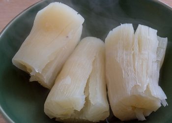 Manioc: Delicious and Dangerous