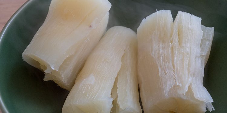 Manioc: Delicious and Dangerous