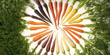 6 Different Carrot Colors: Exploring the Vibrant Palette of Nature’s Bounty