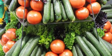 A Comprehensive Approach to Vegetable Farming