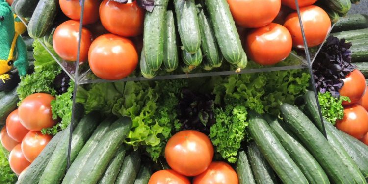 A Comprehensive Approach to Vegetable Farming