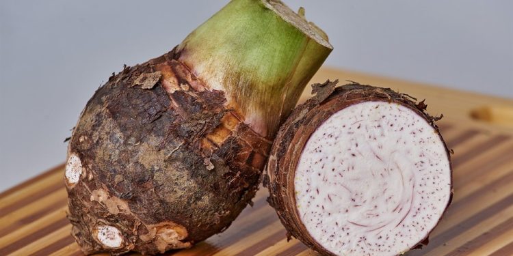 Tarot – The Exotic Vegetable from Afar