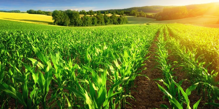 North American and European Farmers Unite: Facing Common Challenges in Agriculture