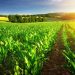 North American and European Farmers Unite: Facing Common Challenges in Agriculture