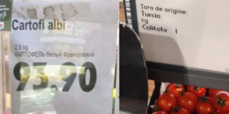 Empowering Moldova’s Agriculture: Reducing Reliance on Imports