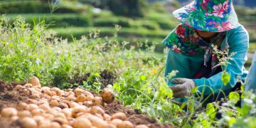 Revolutionizing Philippine Agriculture: Kita Raises $3M to Digitalize Supply Chain