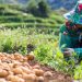 Revolutionizing Philippine Agriculture: Kita Raises $3M to Digitalize Supply Chain
