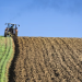 Switzerland’s Agricultural Subsidies: Navigating Changes for a Sustainable Future