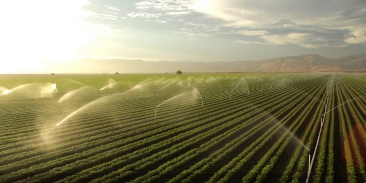 Revolutionizing Kazakh Agriculture: Innovative Irrigation Solutions Pave the Way for Sustainable Farming