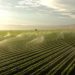 Revolutionizing Kazakh Agriculture: Innovative Irrigation Solutions Pave the Way for Sustainable Farming