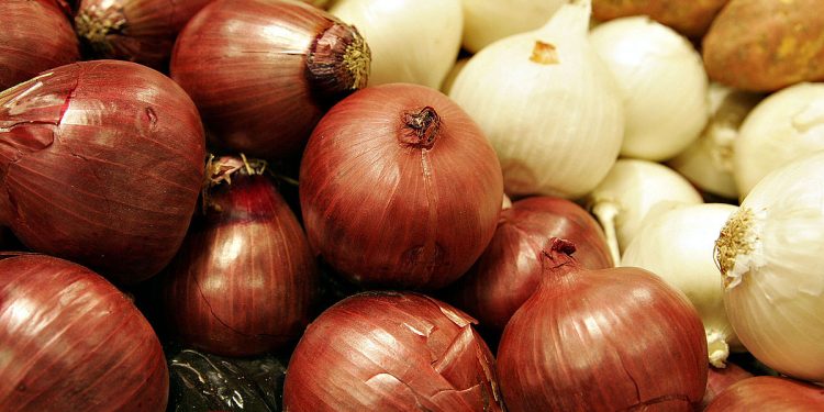 Navigating the Challenges: Insights into the Current Onion Market