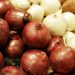 Navigating the Challenges: Insights into the Current Onion Market