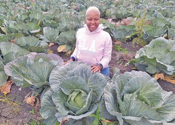Cultivating Dreams: The Inspiring Journey of a Modern Vegetable Farmer