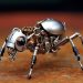 Ants Inspire Robots: Farming in Safe Hands