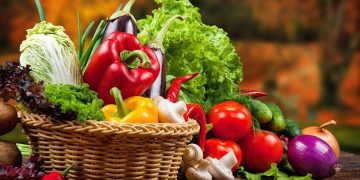 Breaking Records: Bountiful Harvest of Vegetables Expected in Dmitrov, Moscow Region