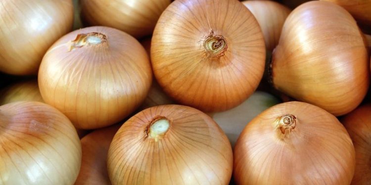 Onion Production in Azerbaijan: Growing Demand and Export Prospects
