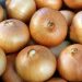 Onion Production in Azerbaijan: Growing Demand and Export Prospects