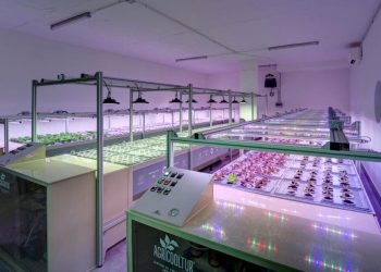 Forrest in Town: Milan’s Pioneering Urban Farming Condominium