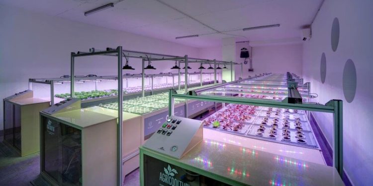 Forrest in Town: Milan’s Pioneering Urban Farming Condominium