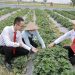 Revolutionizing Agriculture: Agribank’s Focus on Bio-Technology and Sustainable Farming Practices