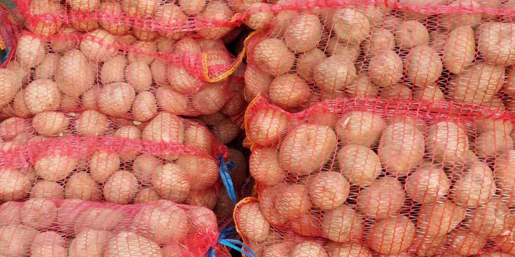 Changing Tides in Potato Farming: Adapting to Shifting Consumer Habits in Harghita County