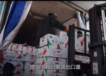 Green Corridor Boost: Chinese Entrepreneurs Triple Vegetable and Fruit Exports to Blagoveshchensk