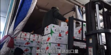 Green Corridor Boost: Chinese Entrepreneurs Triple Vegetable and Fruit Exports to Blagoveshchensk