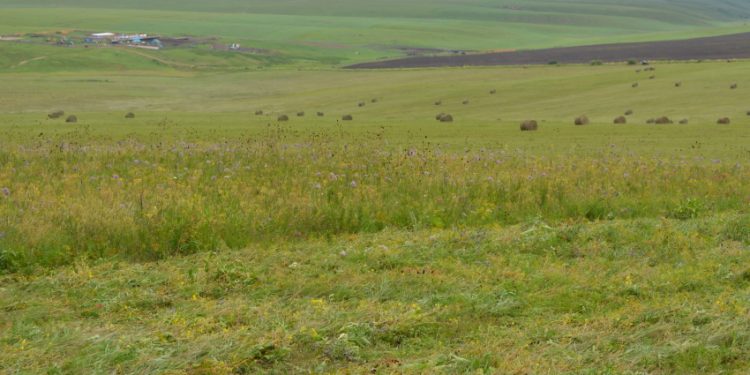 Zabaykalsky Farms Gain Access to 17,000 Hectares of Untapped Agricultural Lands