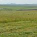 Zabaykalsky Farms Gain Access to 17,000 Hectares of Untapped Agricultural Lands