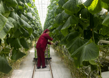 New Measures for Sustainable Farming