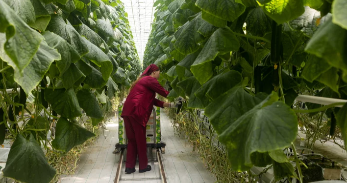 New Measures for Sustainable Farming