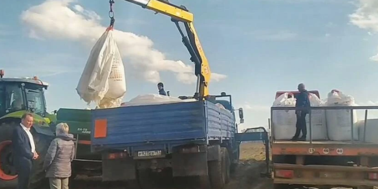 Fertilizing the Future: Moscow Region’s Thriving Agricultural Landscape in 2024