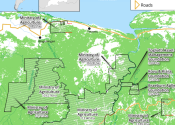 Suriname’s Ambitious Agricultural Expansion: Balancing Growth and Conservation in the Amazon Rainforest