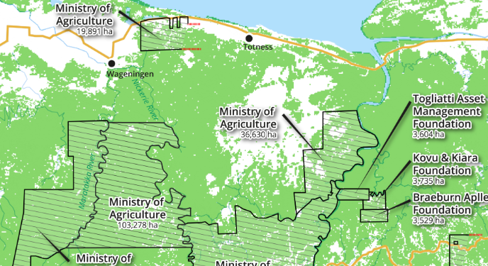 Suriname’s Ambitious Agricultural Expansion: Balancing Growth and Conservation in the Amazon Rainforest