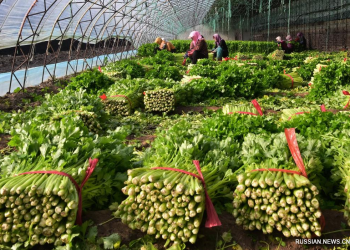 The Fennan District’s Success Story in Tangshan, Hebei Province